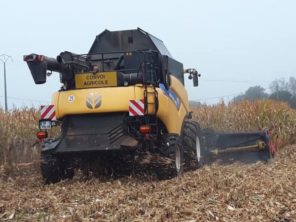 La saison de battage commence et l'ensilage contin... – Image 2