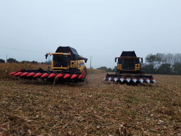 La saison de battage commence et l'ensilage contin... – Image 3