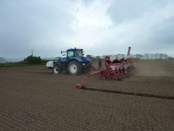 Semis de maïs avec semoir Kverneland 8 rangs avec ... – Image 2