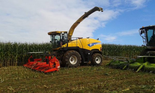 Ensilage 2016 – Image 2