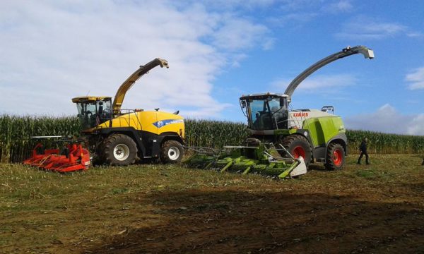 Ensilage 2016 – Image 3