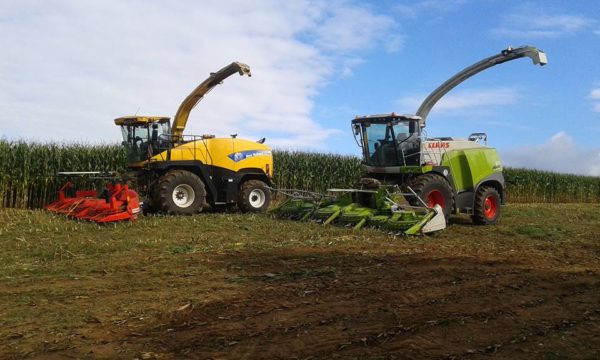 Ensilage 2016 – Image 4