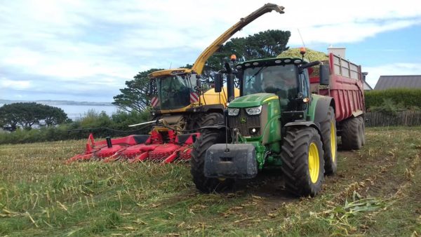 Ensilage 2018 – Image 3