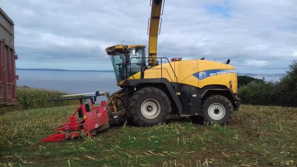 Ensilage 2018 – Image 4