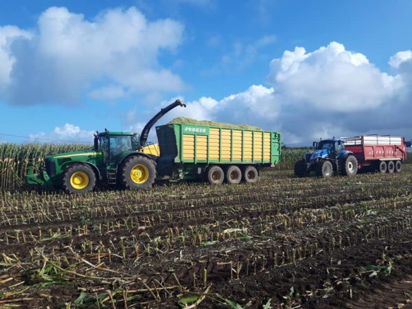 Ensilage de maïs 2019 – Image 4
