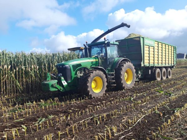 Ensilage de maïs 2019 – Image 3