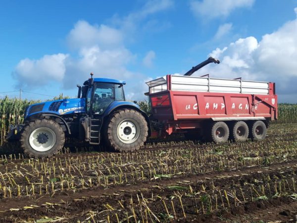Ensilage de maïs 2019 – Image 5