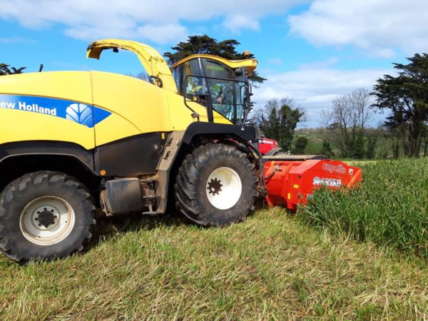 Ensilage d'avoine – Image 5