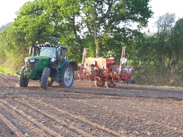 Semis de maïs avec guidage RTK, coupure de rangs p... – Image 3