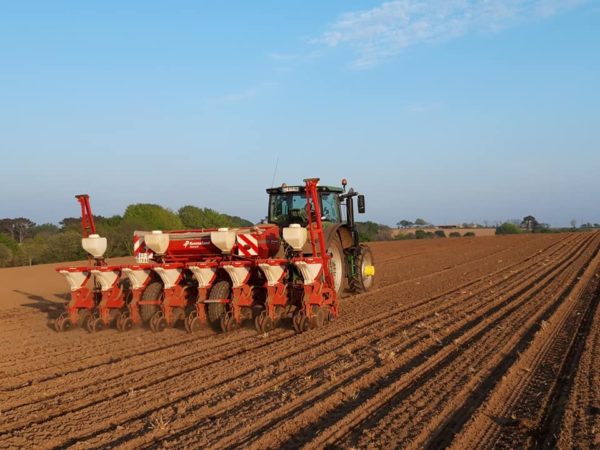 Semis de maïs avec guidage RTK, coupure de rangs p... – Image 5