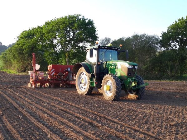 Semis de maïs avec guidage RTK, coupure de rangs p... – Image 4