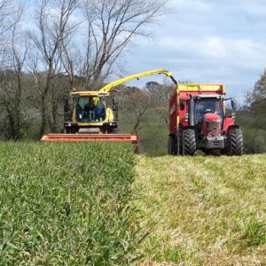 Ensilage davoine - Travaux agricoles