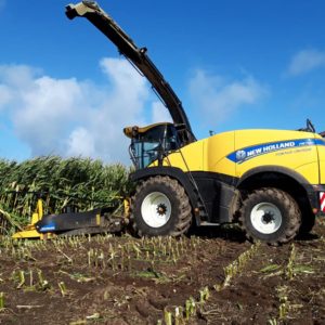 Ensilage de mais 2019 - Travaux agricoles