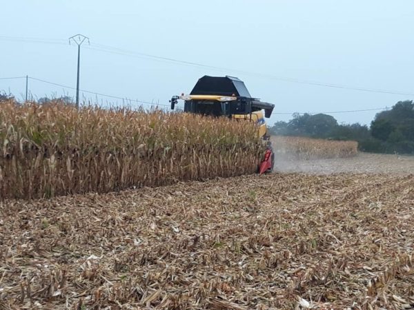 La saison de battage commence et lensilage contin - La saison de battage commence et l'ensilage contin...