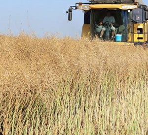 Les entreprises de travaux agricoles doivent recruter plus dapprentis - Travaux agricoles