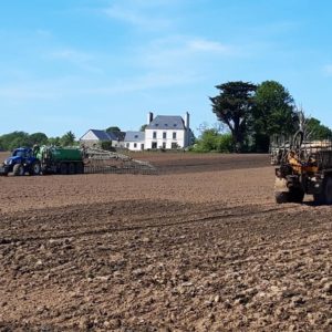 Les travaux depandage et travaux du sol avancent - Travaux agricoles