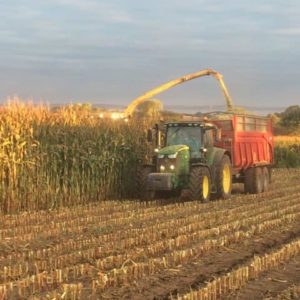 Recherche chauffeur pour la saison densilage con - Travaux agricoles