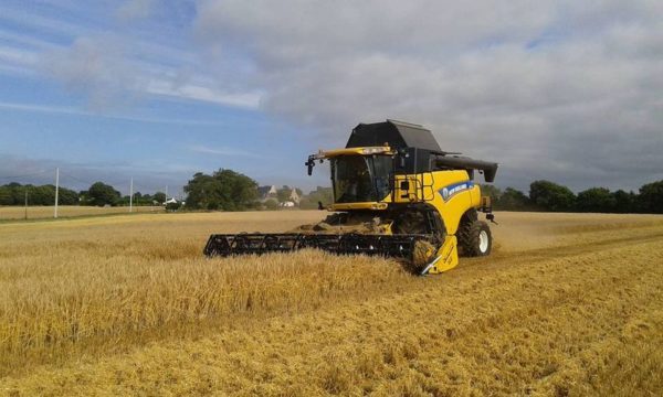 SARL Kérivel (travaux agricoles)
 RECHERCHE chauff...