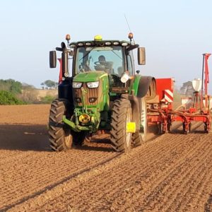 Semis de mais avec guidage RTK coupure de rangs p - Travaux agricoles