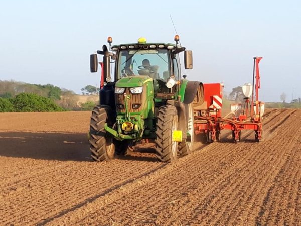 Semis de maïs avec guidage RTK, coupure de rangs p...
