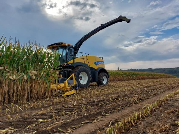 La saison d'ensilage de maïs est commencée.