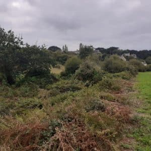 Travaux de restauration de zone humide a Sainte An - Travaux publics