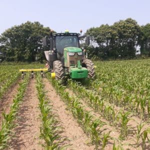 Binage mais - Travaux agricoles