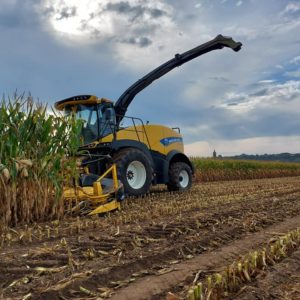 La saison densilage de mais est commencee - Travaux agricoles