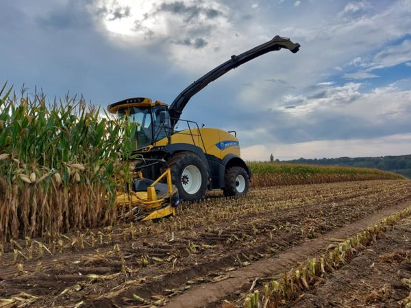 La saison densilage de mais est commencee - La saison d'ensilage de maïs est commencée.