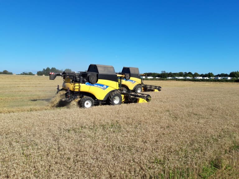 Battage céréales (10)