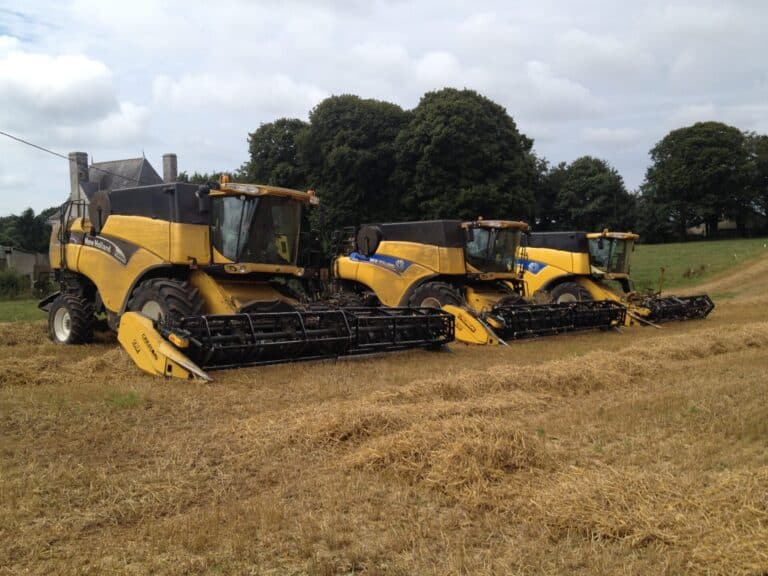 Battage céréales (11)