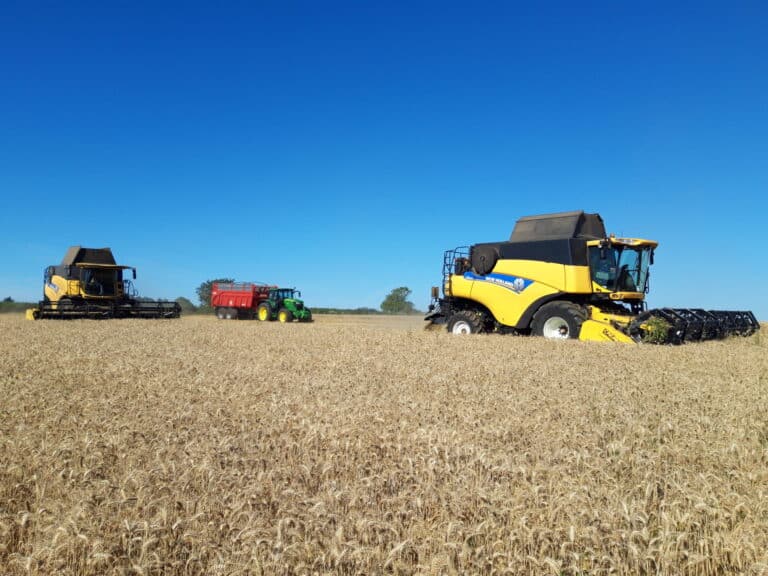 Battage céréales (3)