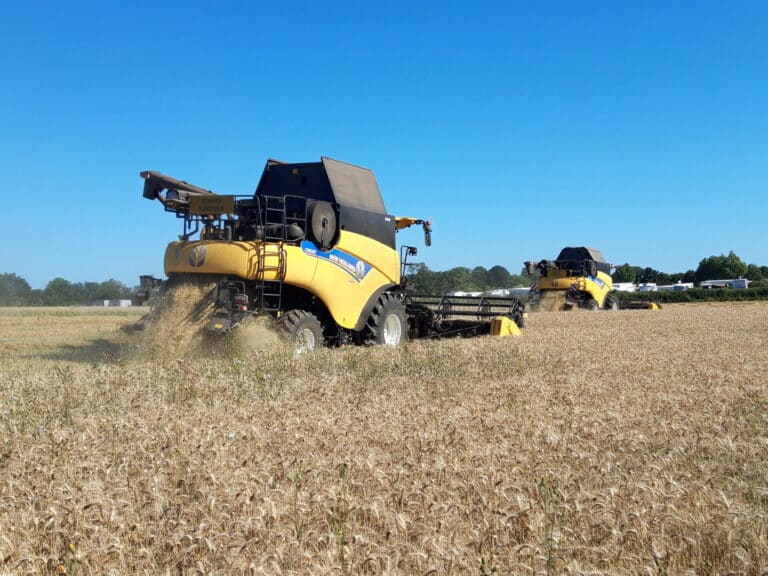 Battage céréales (5)