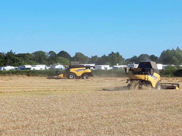 Battage céréales (8)