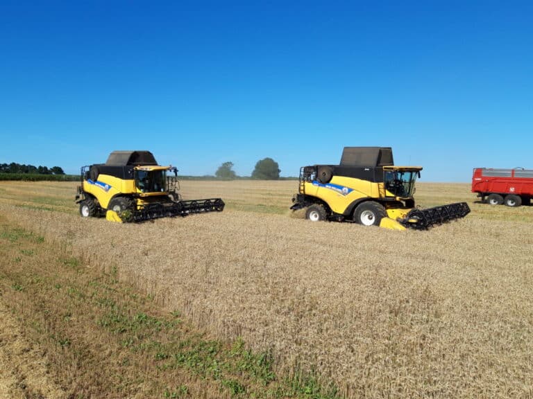 Battage céréales (9)