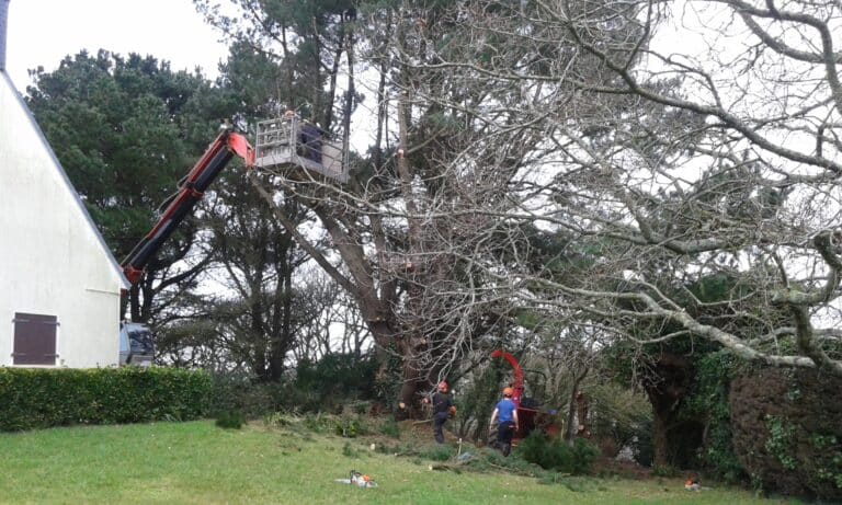 Elagage 1 - Douarnenez Audierne