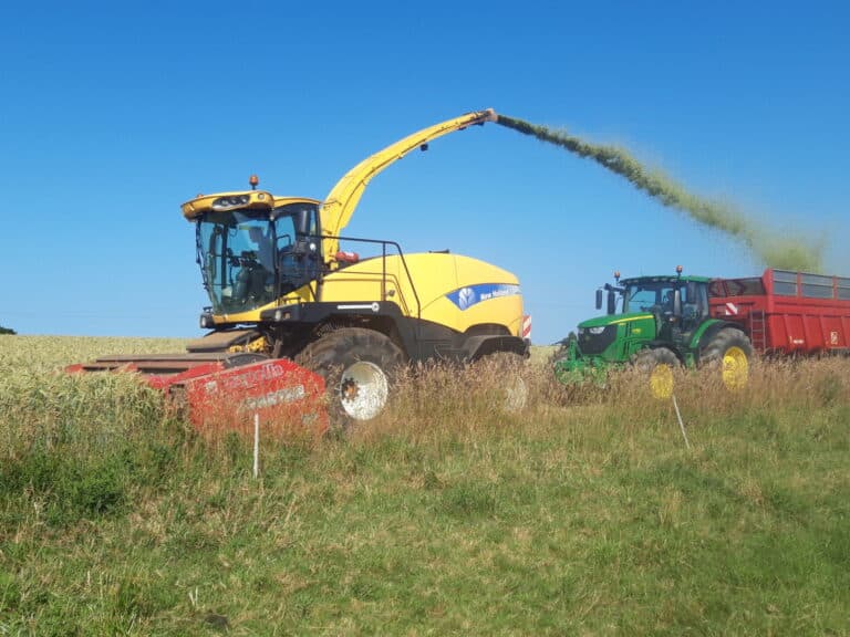 Ensilage Méteil (4)