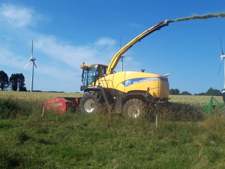 Ensilage Méteil (5)