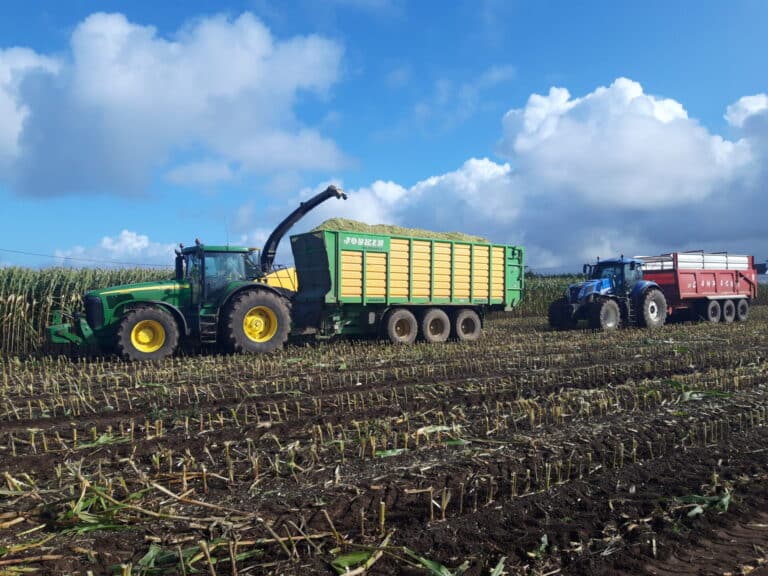 Ensilage de maïs (2)