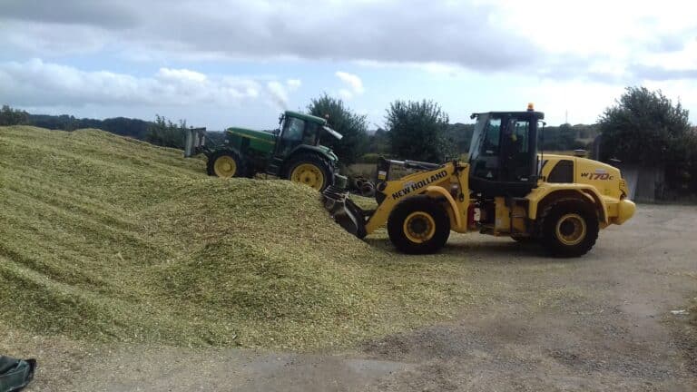 Ensilage de maïs (3)