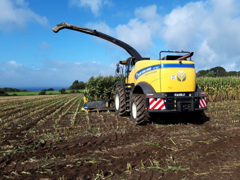 Ensilage de mais 5 - Douarnenez Audierne