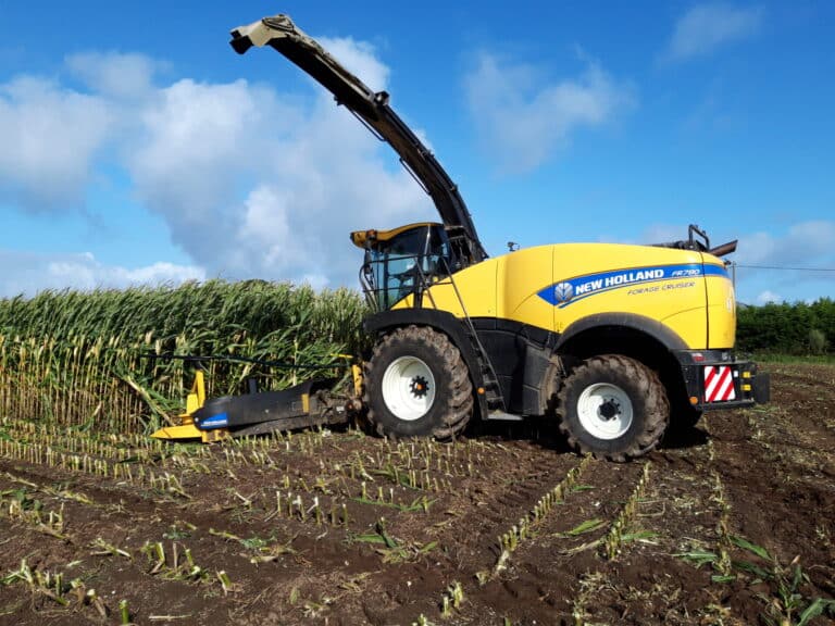 Ensilage de maïs (6)