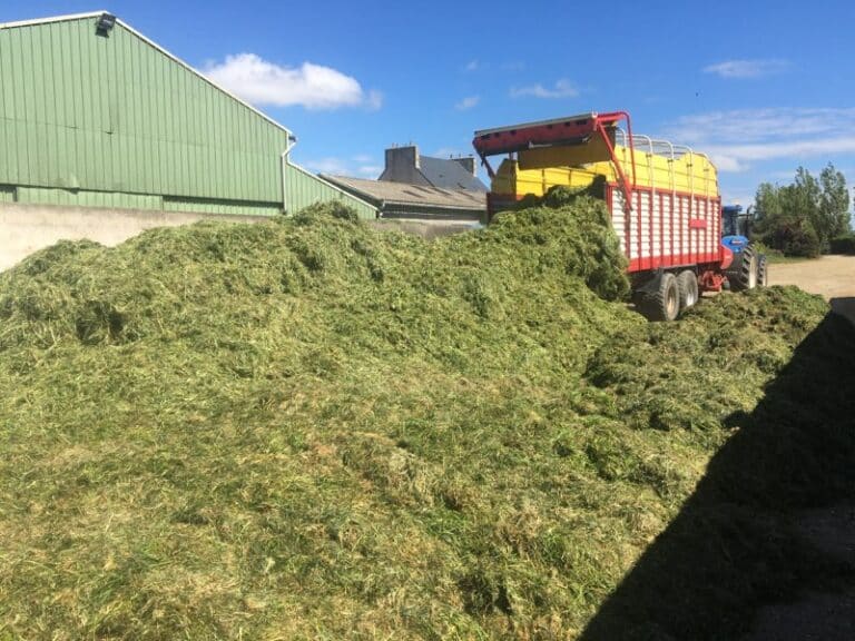 Ensilage d'herbe (2)