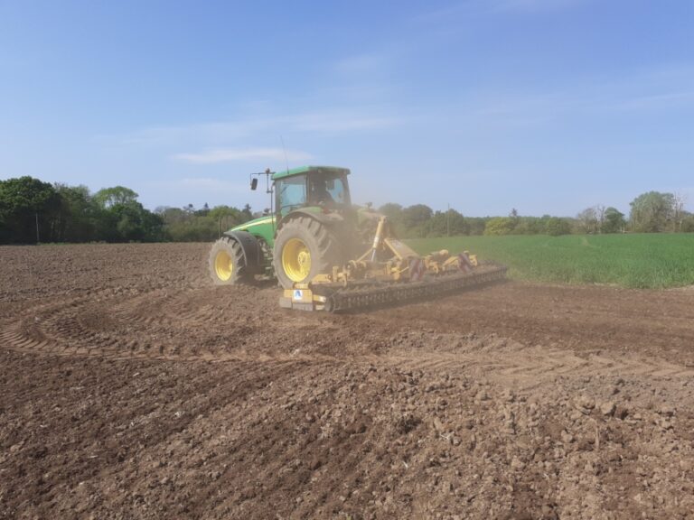 Préparation de terre (2)