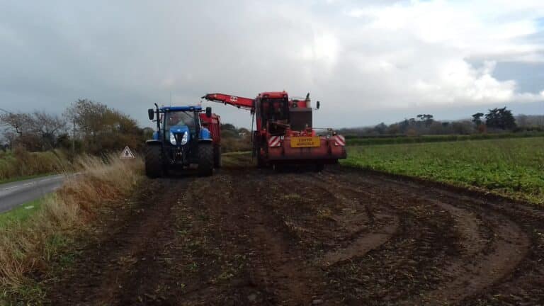 Récolte betterave (1)