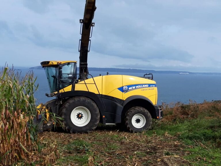 Battage et ensilage (2)