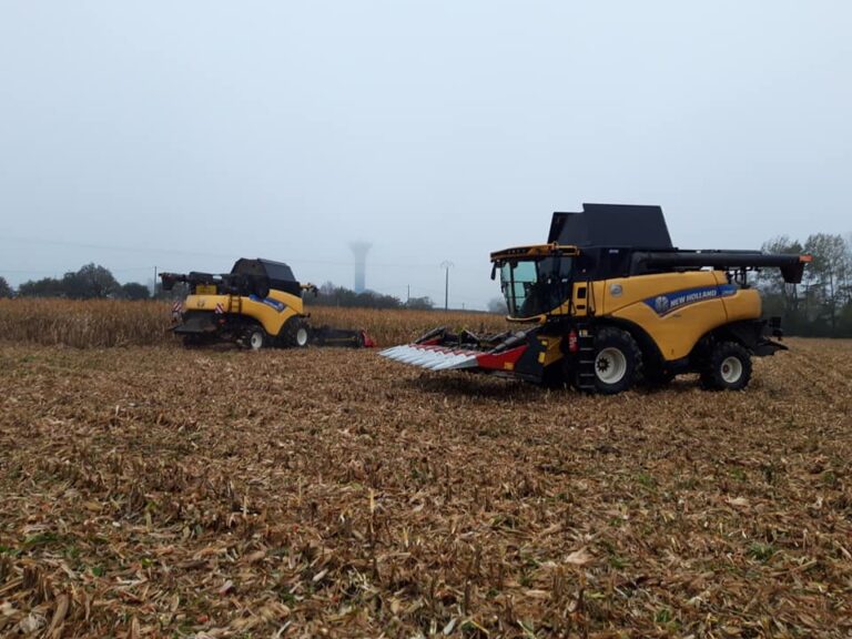 Battage et ensilage (3)