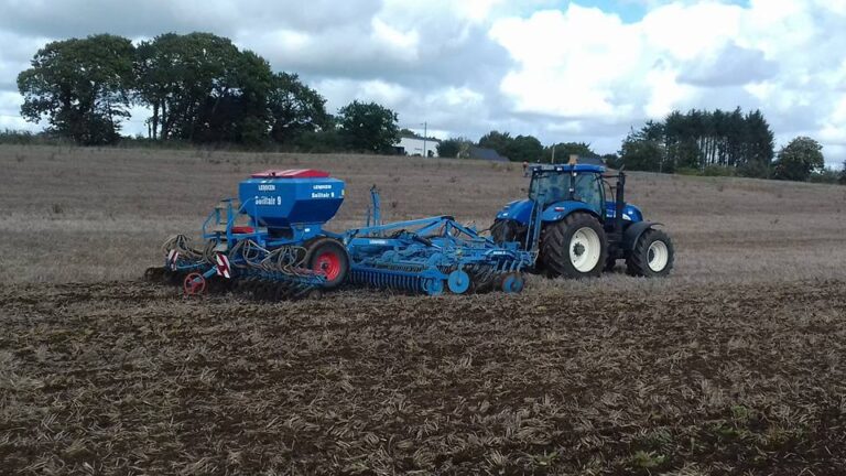 Semis couvert végétaux (1)