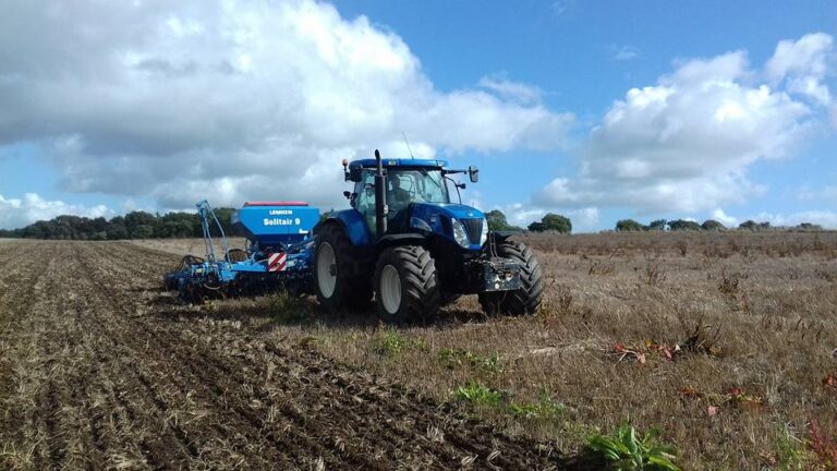 Semis couvert végétaux (2)