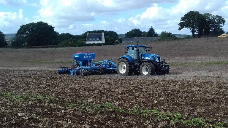 Semis couvert végétaux (3)
